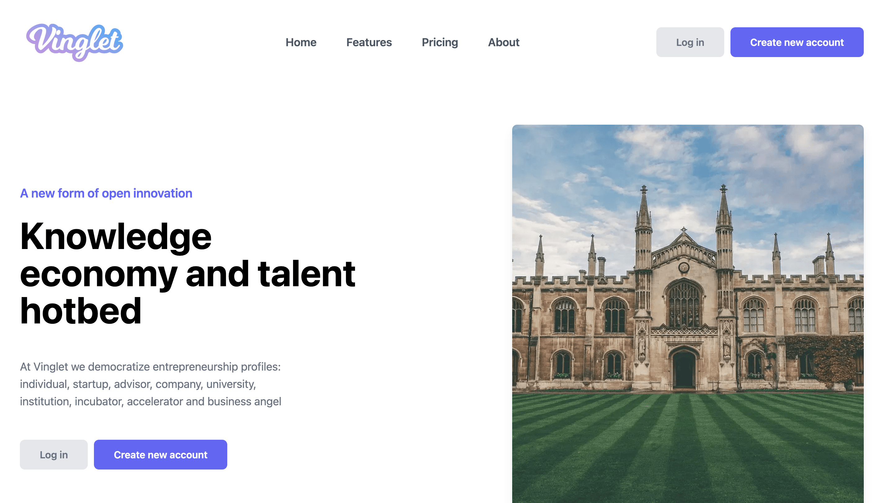 Vinglet screenshot 1